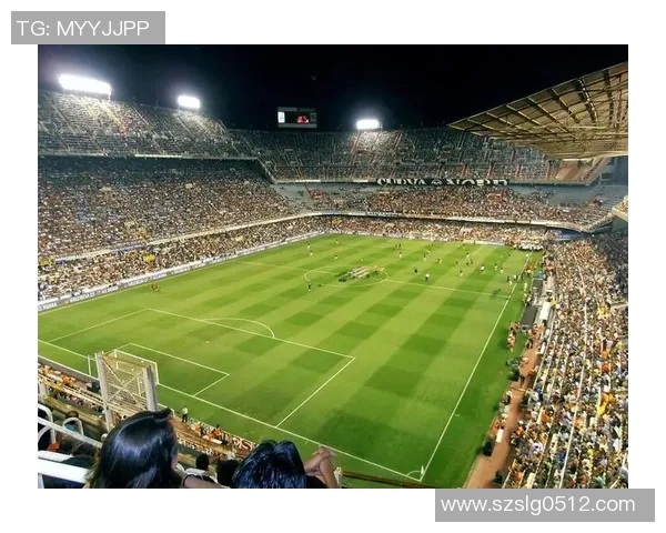 足球明星带克字的传奇故事与他们在绿茵场上的辉煌成就探讨