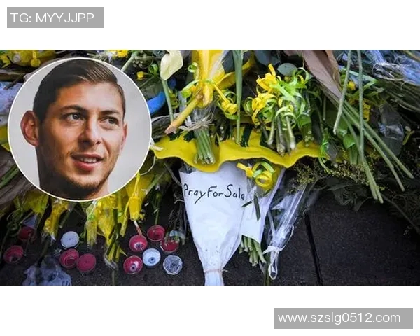 足球明星萨拉的精彩瞬间与职业生涯回顾视频合集